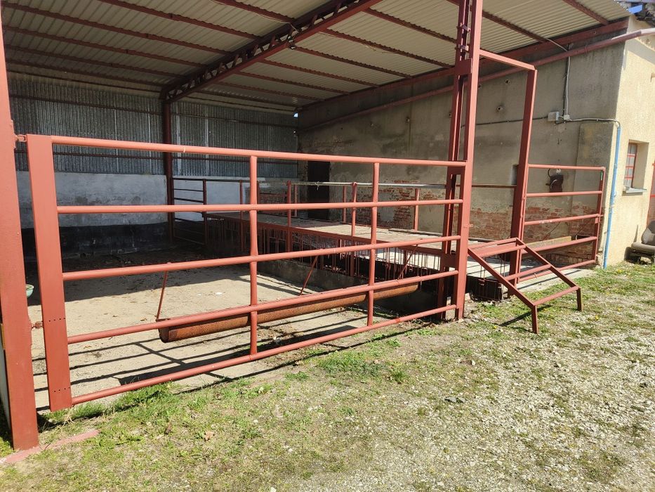 Wiata na bydło, koryta, paśnik dla bydła, stanowisko dla bydła.