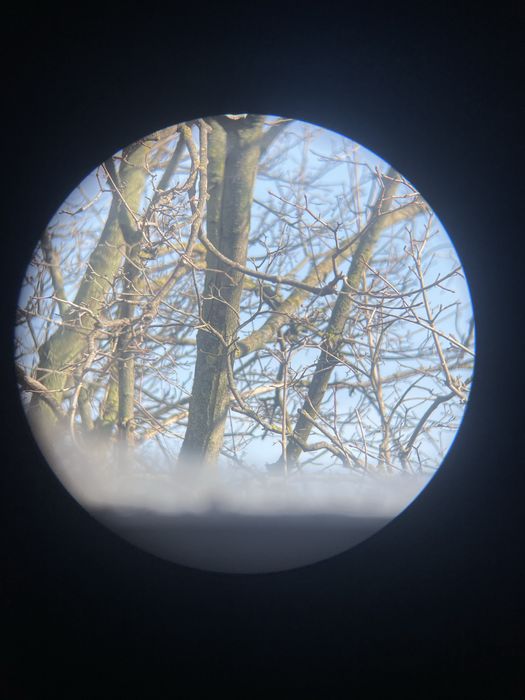 Винтажный японский бинокль Zuiho 6x30 7.5 угол лучше комз бпц, полевой