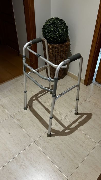 Andarilho cinzento com pegas