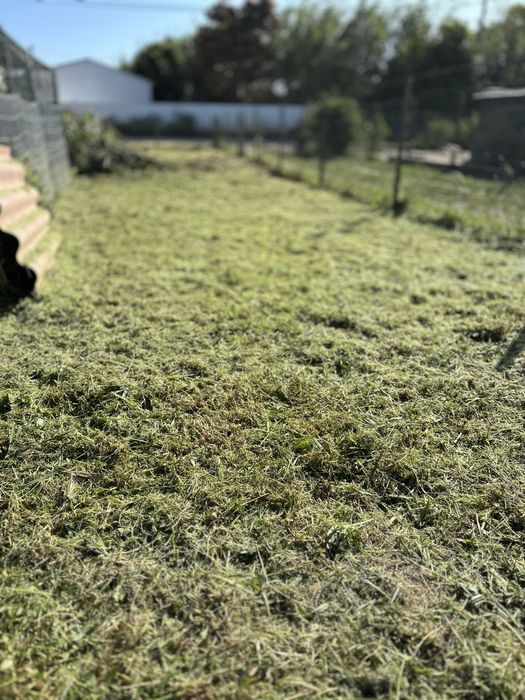 Limpeza terreno e manutenção