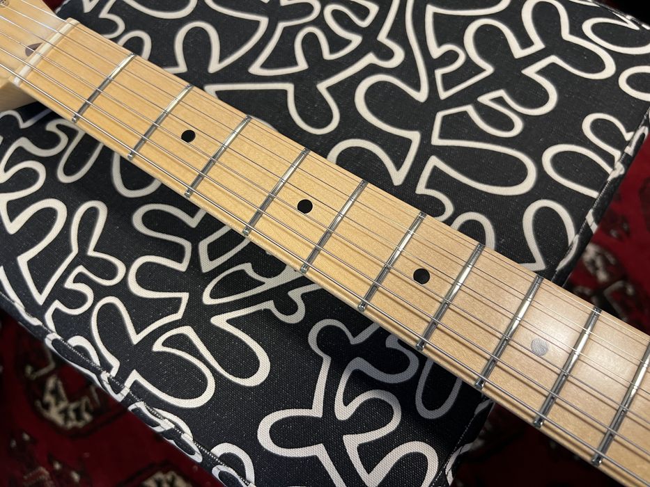 Fender American Performer Telecaster - Lindy Franlin Pickups