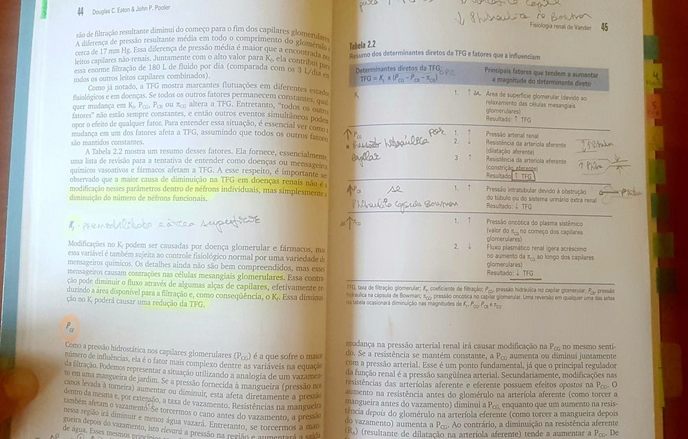 Vendo livro Fisiologia Renal de Vander 6° edição