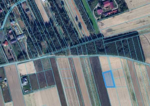 4 Działki od 1111m2 do 1517 m2 z przeznaczeniem zabudowy mieszkaniowej w Kolonii Krasienin