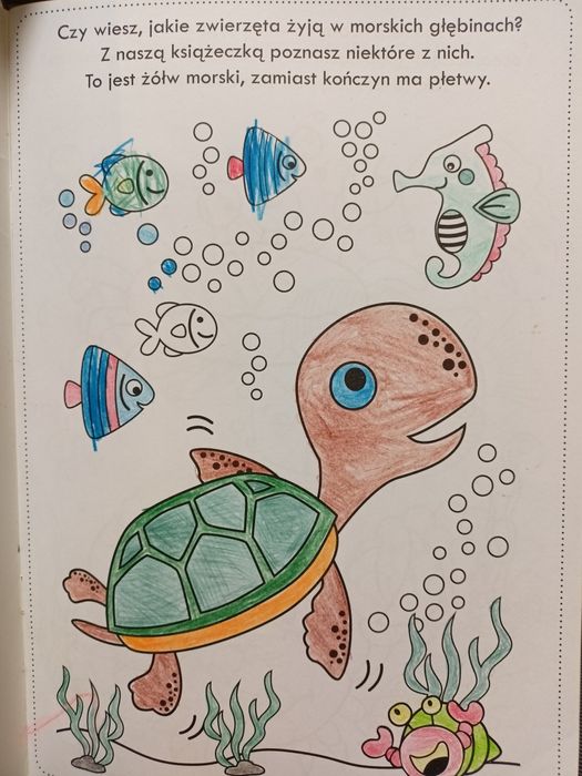 Kolorowanka w Oceanie