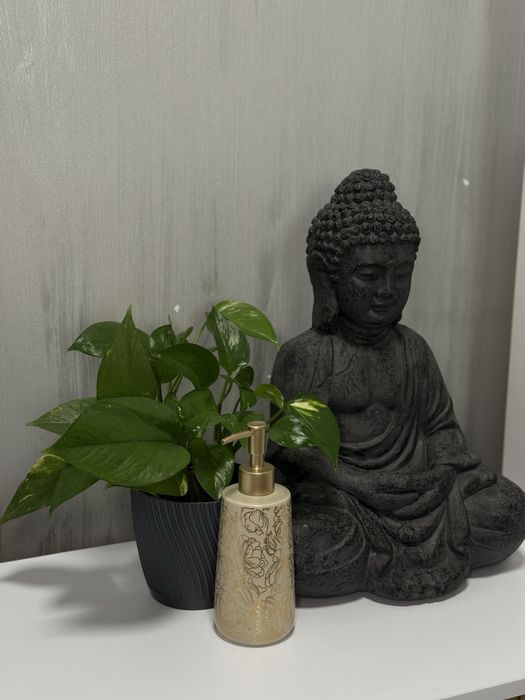 Масажист Суборенда