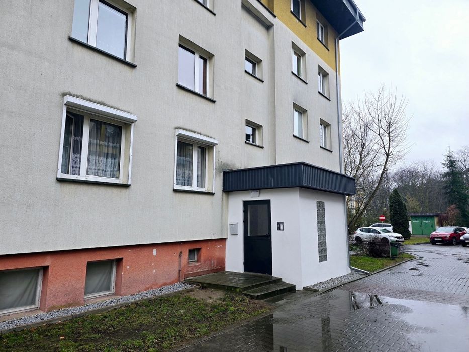 Lokal użytkowy Tulce Wynajem 36m²