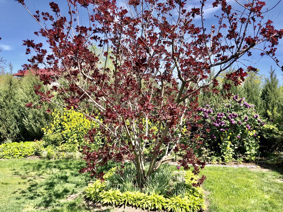 СДАМ САУНУ 500 грн в час В г. Черноморск