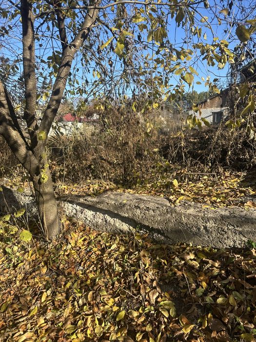 Пропонуємо до продажу Будинок із великою зем. ділянкою в Дахнівці