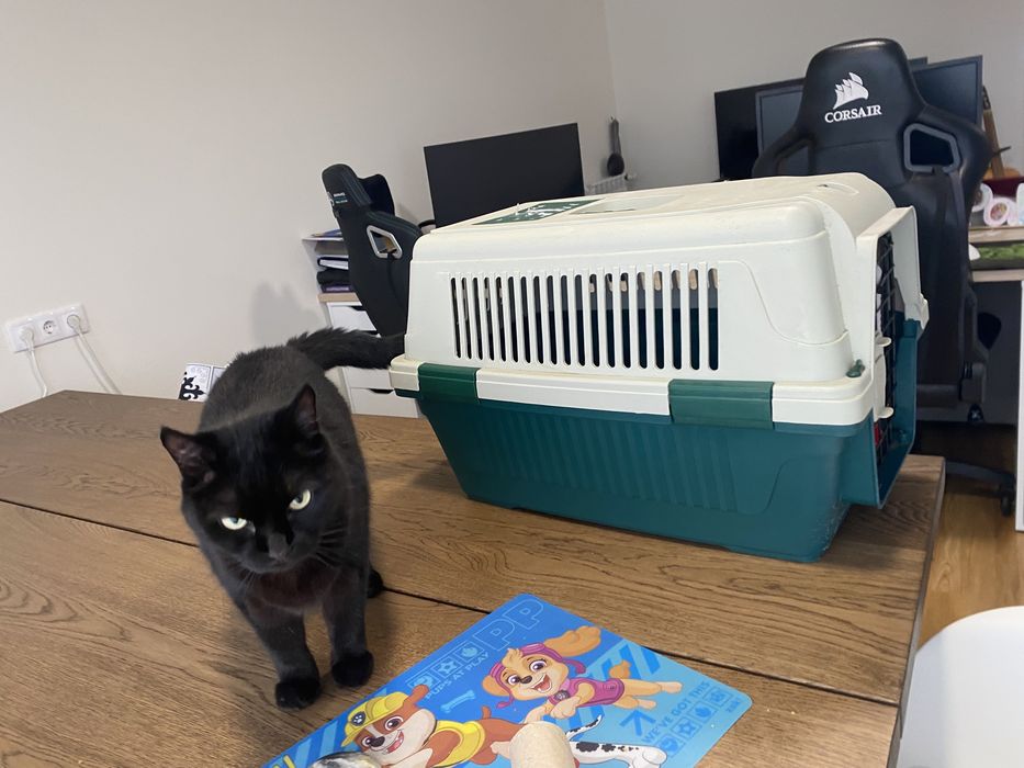 Caixa para transporte de animais de estimação