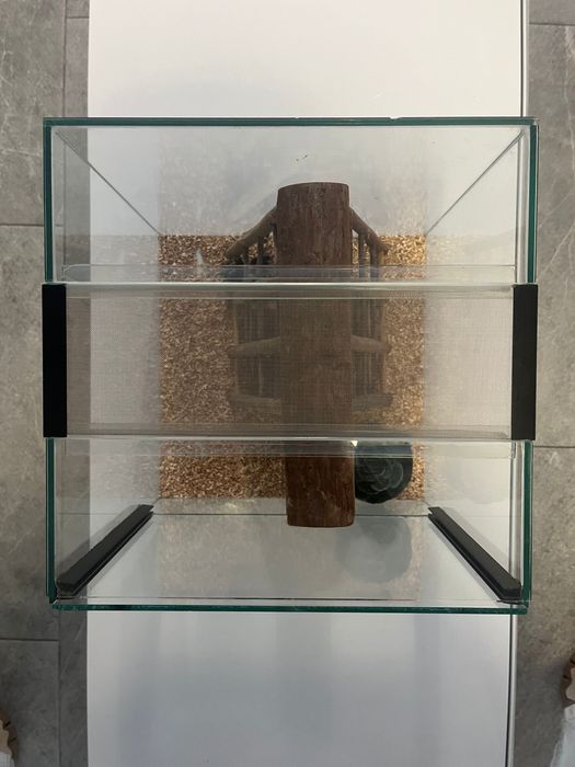 Terrário em vidro 30x30x30