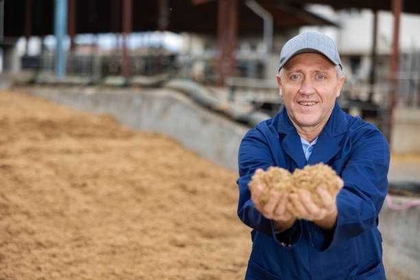 Wysłodziny browarniane młóto z dowozem
