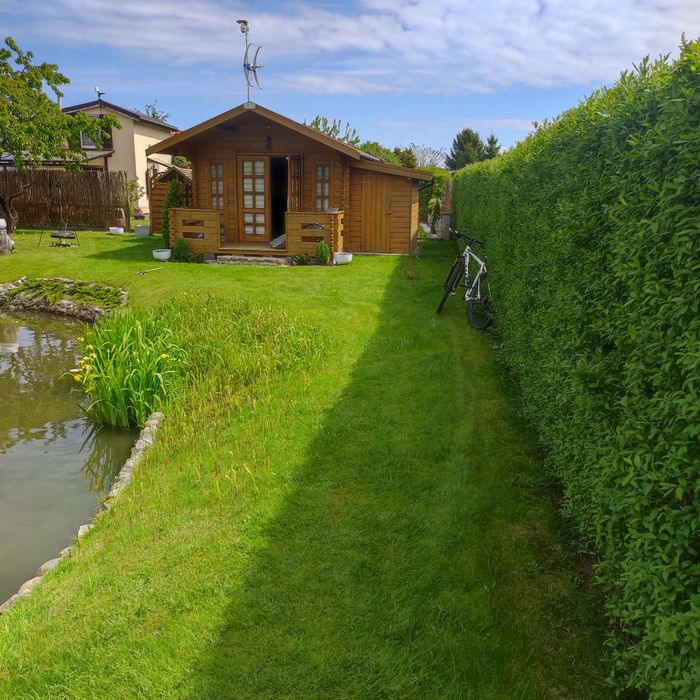 Sprzedam działkę ROD  540 m2