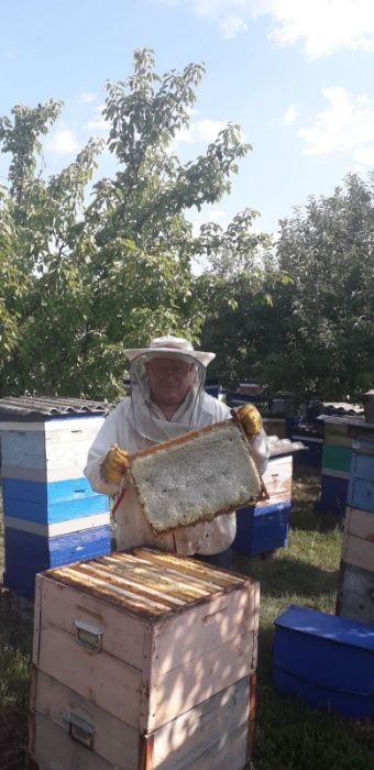 Продам пчелопакеты Карника