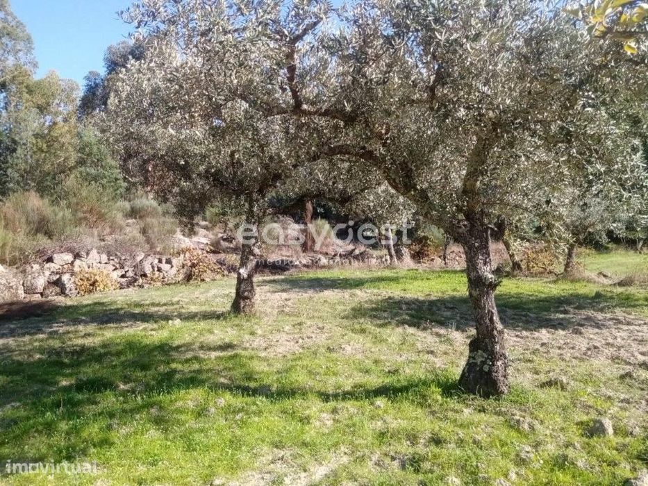Terreno Rustico excelente localização na aldeia de Póvoa Rio Moinhos