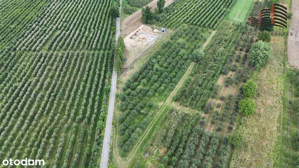 Działka budowlana Dębówka - 1km od Lublina