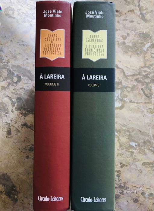 À Lareira - José Viale Moutinho