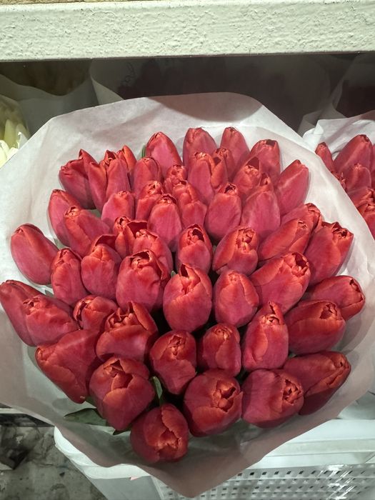 Тюльпан Тюльпани опт оптом Вайбер Телеграм