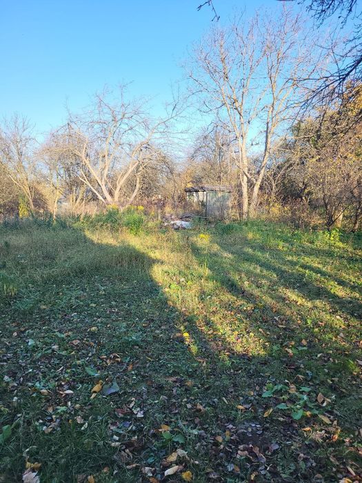 Дача, Брюховичі - Малі Грибочі