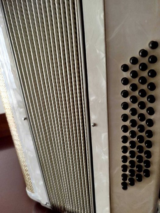 Vendo Acordeon Scandalli 48 baixos