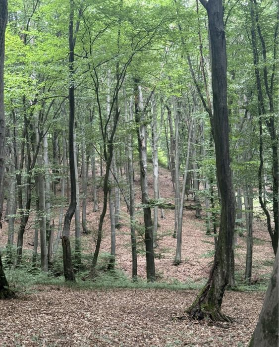 Продаж будинку в Кольчині