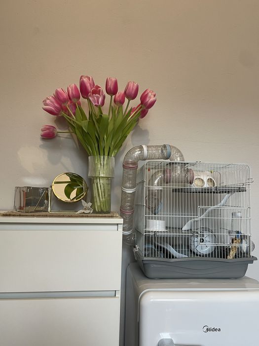 Клітка для хомʼячка