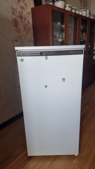 Холодильник Днепр 2мс