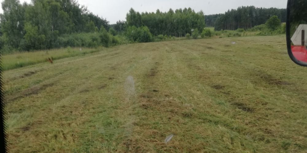 Koszenie mulczerem, rozbiórki budynków, czyszczenie działek