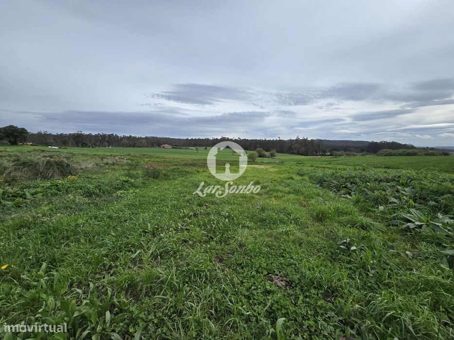 Terreno Agrícola  Terroso | 2.722m²