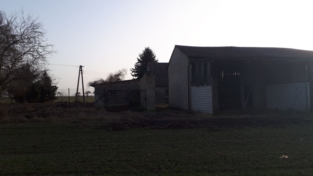 Sprzedam gospodarswo