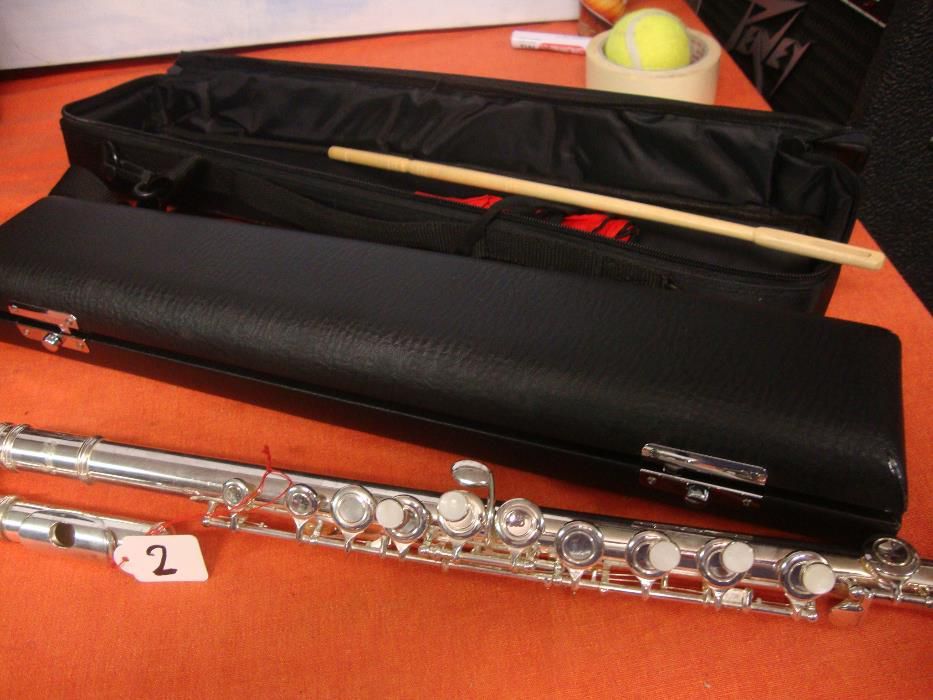 Transverse Flute, Subito.. No. 264175818772099124