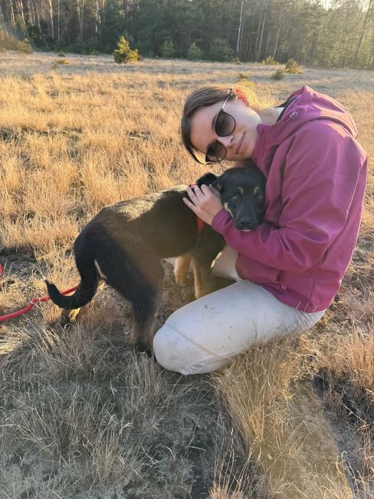 Biedna młodziutka Figa błaga o dom zza krat