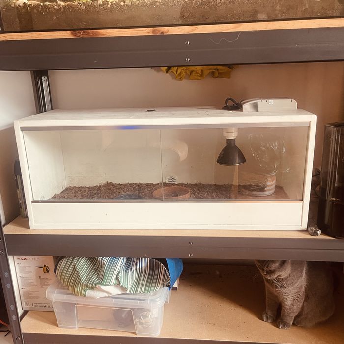 Terrarium  todo equipado