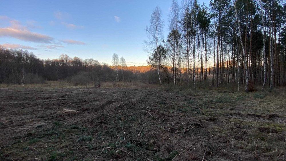 Sprzedam działke 5000m - Widok 2