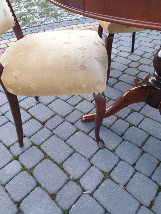 Stół + 4 krzesła + biblioteczka witryna z drzewa orzechowego