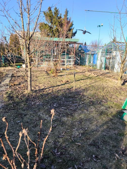 Działka ROD 300 m² z potencjałem! 3 SZKLARNIE! ŁÓDŹ