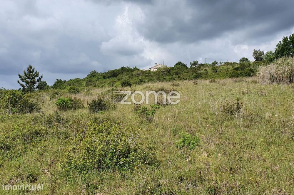 Terreno Rústico 6.840m2 Azambujeira Rio Maior Santarém