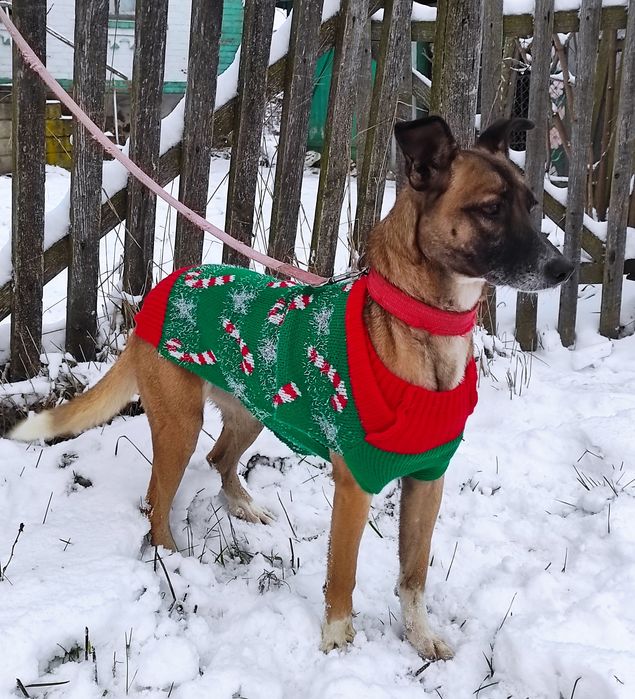 Ляля - найкращий друг