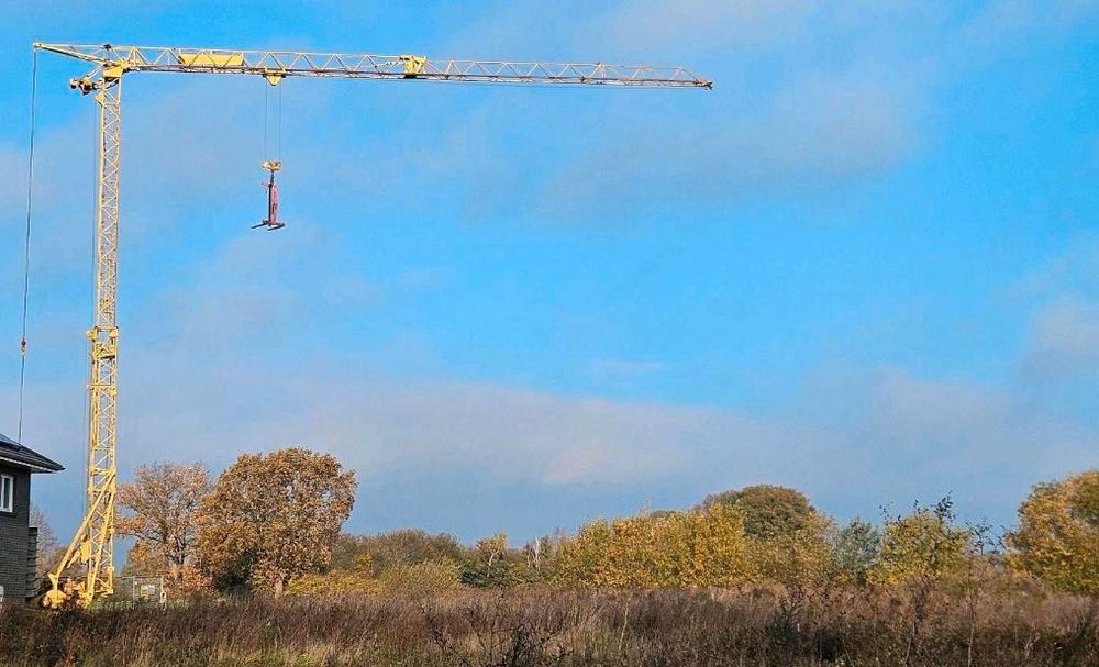 Grua automontante Potain 321 C