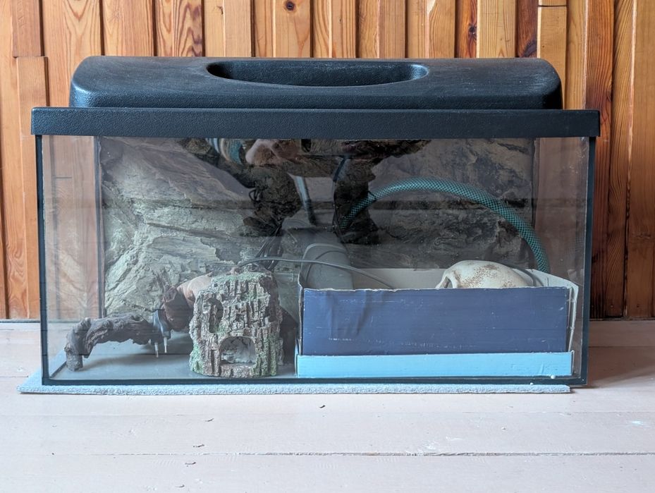 Akwarium 60x30x30cm (54litry) z kompletnym wyposażeniem.