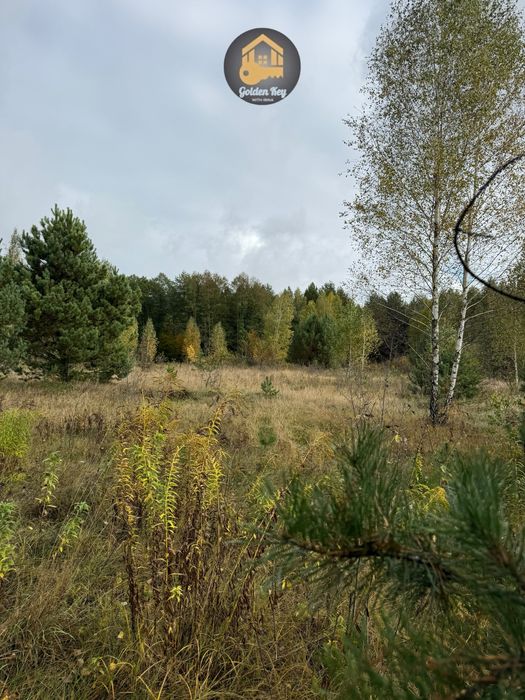 Продам земельну ділянку 7га, серед сосен, с.Рови