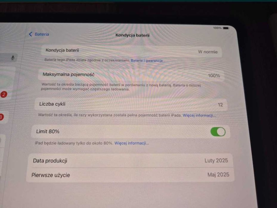 Ipad Pro 11" 5 gen. M4, 256 GB + Rysik