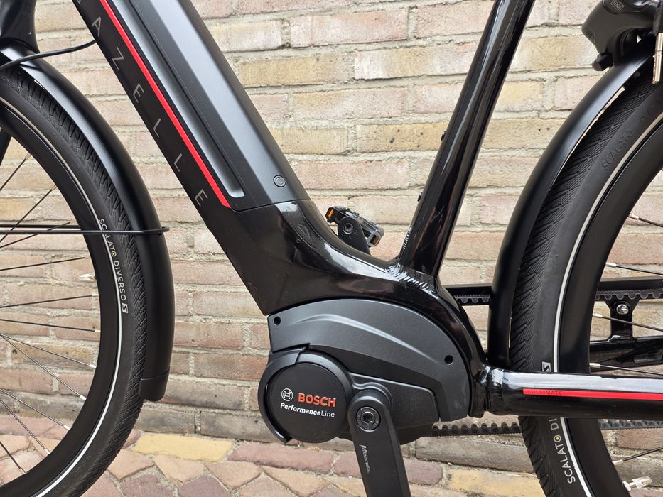 Gazelle Ultimate C5 Performance Pasek