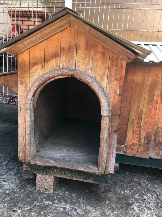 Casota para cão - Lar de sonho para o seu amigo de 4 patas