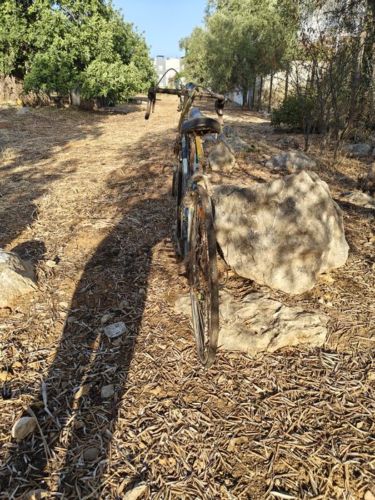 Lote de Bicicletas Antigas