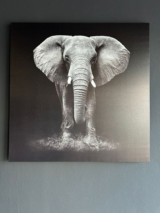 Quadro Decorativo Elefante – Imponente e Sofisticado
