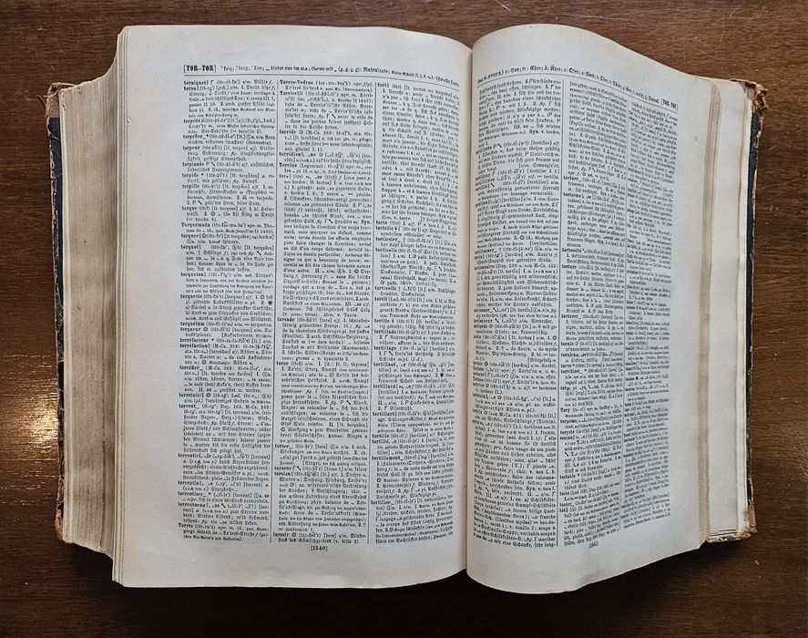 Stary słownik francusko niemiecki 1875