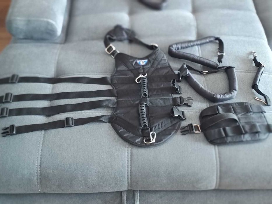 Szelki ortopedyczne dla psa Admiral