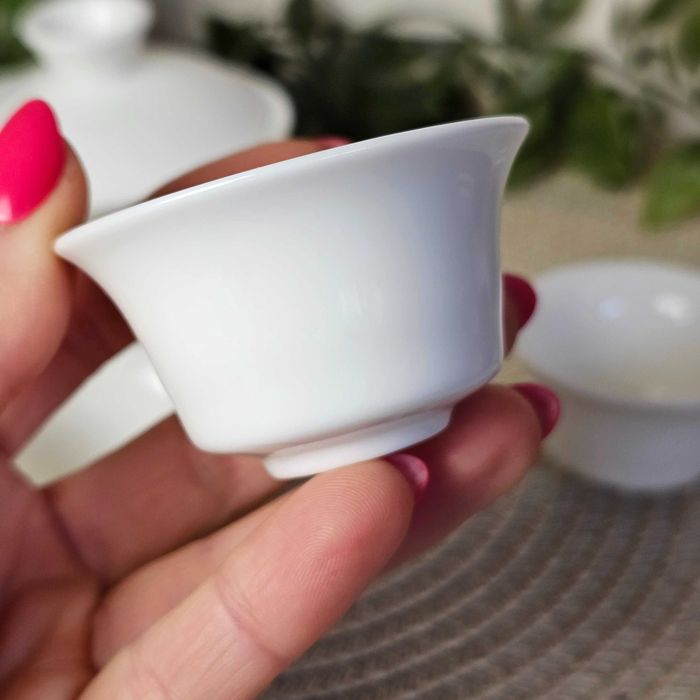 Дорожный чайный набор + сервиз на 3 персоны в кейсе + гайвань чахай