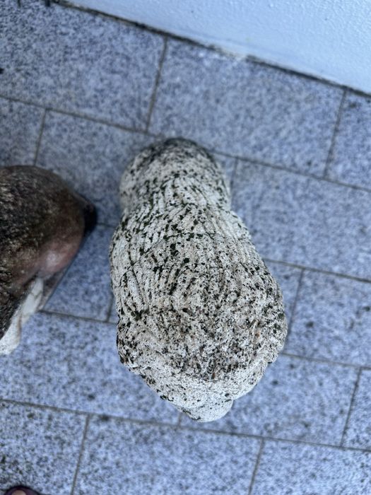 Leões de cimento esculturas