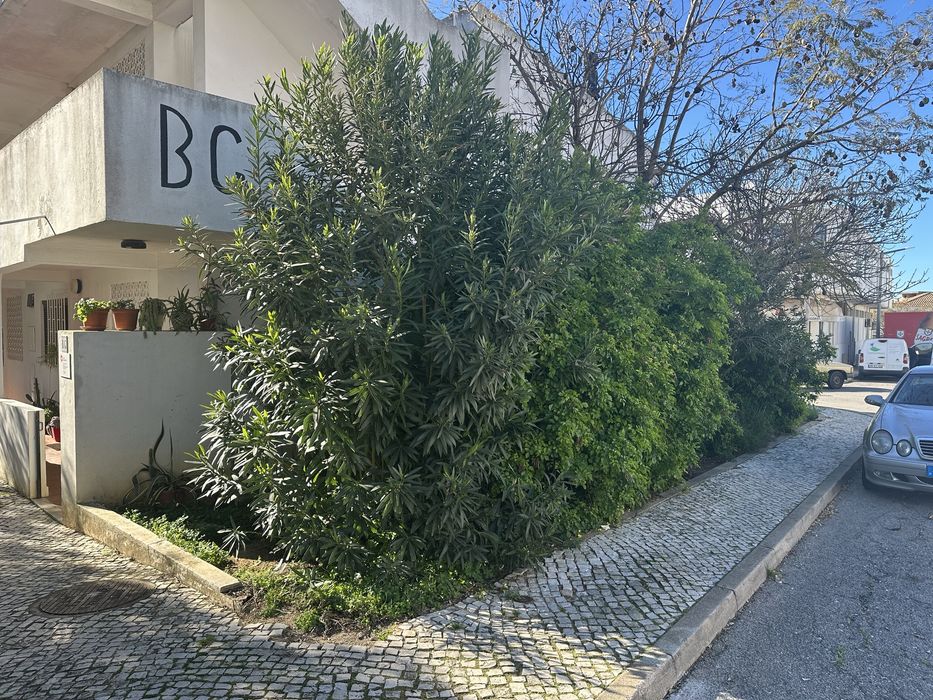 Jardineiro e manutencoes